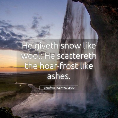 Picture 05 - Psalms 147:16 ASV - He giveth snow like wool; He scattereth the - Bible Verse Picture