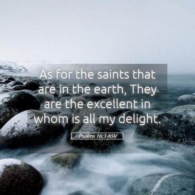 Picture 05 - Psalms 16:3 ASV - As for the saints that are in the earth, They are - Bible Verse Picture