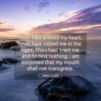 Picture 05 - Psalms 17:3 ASV - Thou hast proved my heart; thou hast visited me - Bible Verse Picture