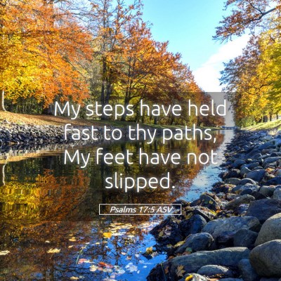 Picture 05 - Psalms 17:5 ASV - My steps have held fast to thy paths, My feet - Bible Verse Picture