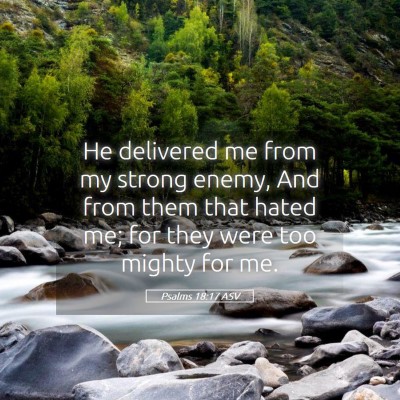 Picture 05 - Psalms 18:17 ASV - He delivered me from my strong enemy, And from - Bible Verse Picture