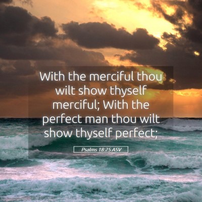 Picture 05 - Psalms 18:25 ASV - With the merciful thou wilt show thyself - Bible Verse Picture