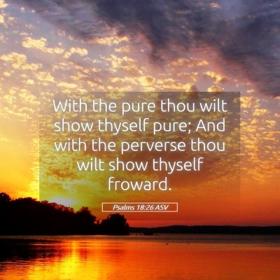 Picture 05 - Psalms 18:26 ASV - With the pure thou wilt show thyself pure; And - Bible Verse Picture