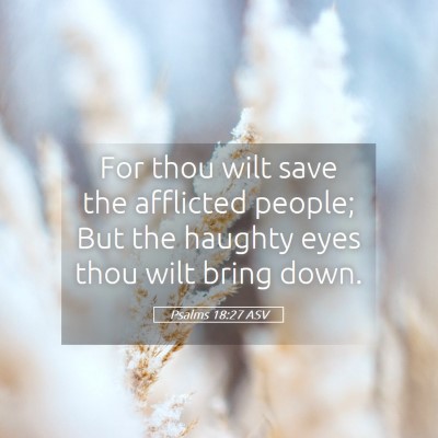 Picture 05 - Psalms 18:27 ASV - For thou wilt save the afflicted people; But the - Bible Verse Picture