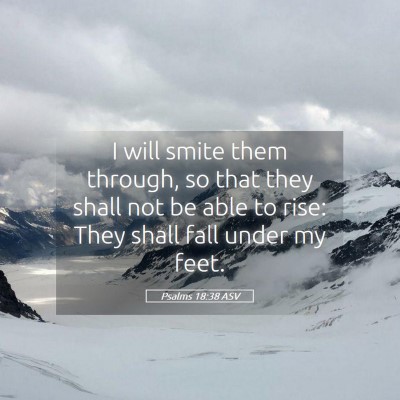 Picture 05 - Psalms 18:38 ASV - I will smite them through, so that they shall not - Bible Verse Picture