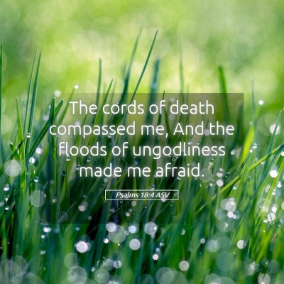 Picture 05 - Psalms 18:4 ASV - The cords of death compassed me, And the floods - Bible Verse Picture