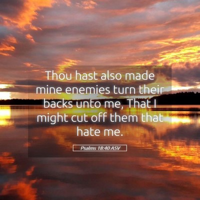 Picture 05 - Psalms 18:40 ASV - Thou hast also made mine enemies turn their backs - Bible Verse Picture