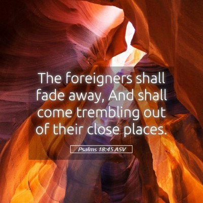 Picture 05 - Psalms 18:45 ASV - The foreigners shall fade away, And shall come - Bible Verse Picture