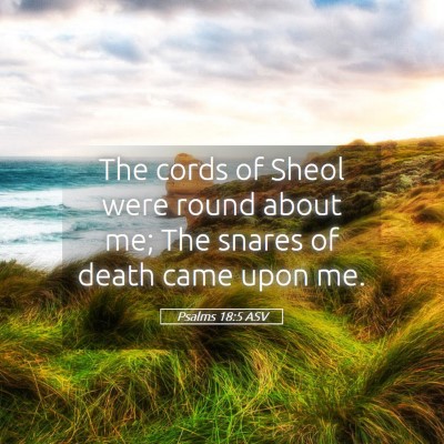 Picture 05 - Psalms 18:5 ASV - The cords of Sheol were round about me; The - Bible Verse Picture