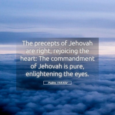 Picture 05 - Psalms 19:8 ASV - The precepts of Jehovah are right, rejoicing the - Bible Verse Picture