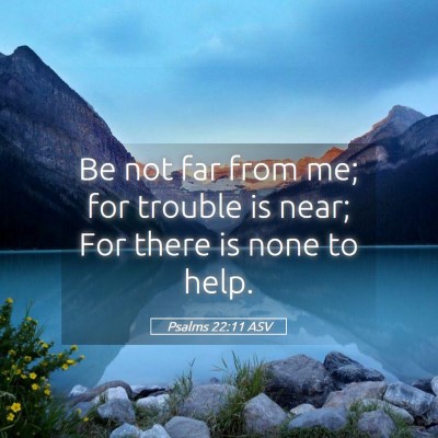 Picture 05 - Psalms 22:11 ASV - Be not far from me; for trouble is near; For - Bible Verse Picture