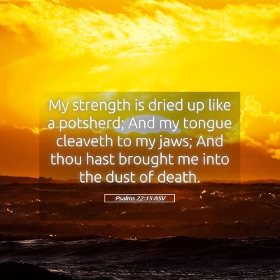 Picture 05 - Psalms 22:15 ASV - My strength is dried up like a potsherd; And my - Bible Verse Picture