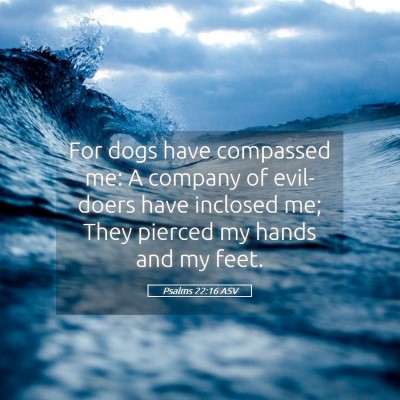 Picture 05 - Psalms 22:16 ASV - For dogs have compassed me: A company of - Bible Verse Picture