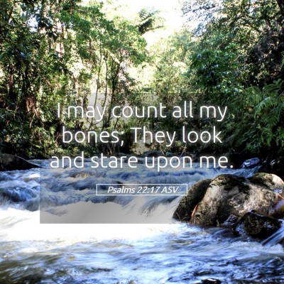 Picture 05 - Psalms 22:17 ASV - I may count all my bones; They look and stare - Bible Verse Picture