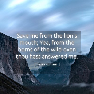 Picture 05 - Psalms 22:21 ASV - Save me from the lion's mouth; Yea, from the - Bible Verse Picture
