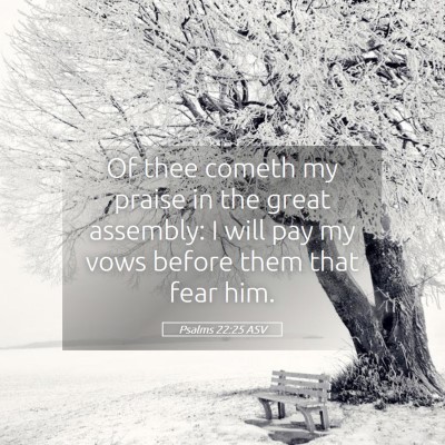 Picture 05 - Psalms 22:25 ASV - Of thee cometh my praise in the great assembly: I - Bible Verse Picture