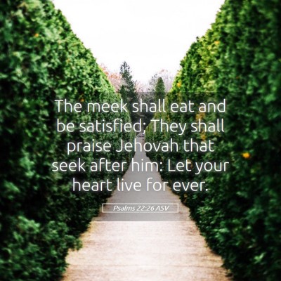 Picture 05 - Psalms 22:26 ASV - The meek shall eat and be satisfied; They shall - Bible Verse Picture