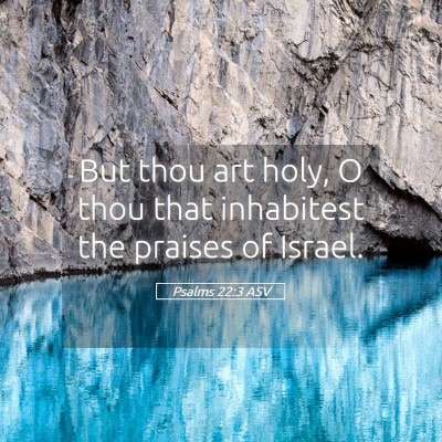 Picture 05 - Psalms 22:3 ASV - But thou art holy, O thou that inhabitest the - Bible Verse Picture