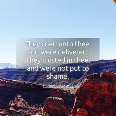 Picture 05 - Psalms 22:5 ASV - They cried unto thee, and were delivered: They - Bible Verse Picture
