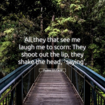Picture 05 - Psalms 22:7 ASV - All they that see me laugh me to scorn: They - Bible Verse Picture