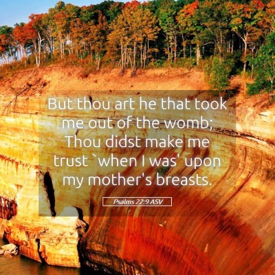 Picture 05 - Psalms 22:9 ASV - But thou art he that took me out of the womb; - Bible Verse Picture