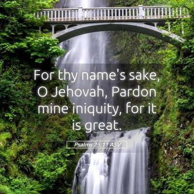 Picture 05 - Psalms 25:11 ASV - For thy name's sake, O Jehovah, Pardon mine - Bible Verse Picture
