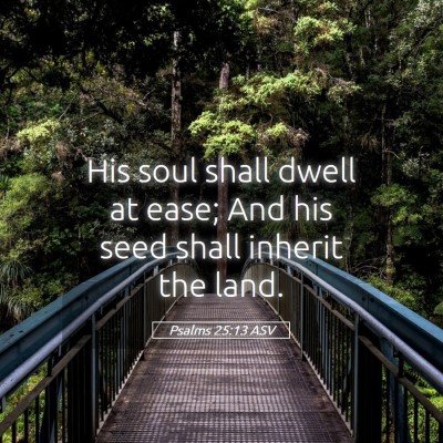 Picture 05 - Psalms 25:13 ASV - His soul shall dwell at ease; And his seed shall - Bible Verse Picture