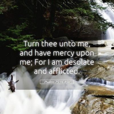 Picture 05 - Psalms 25:16 ASV - Turn thee unto me, and have mercy upon me; For I - Bible Verse Picture