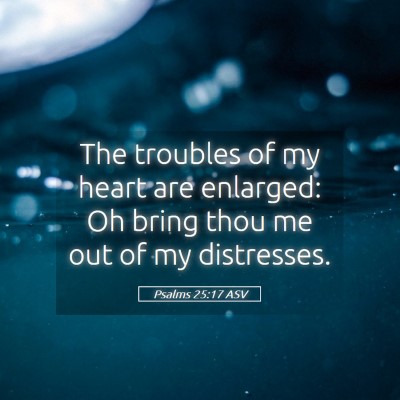 Picture 05 - Psalms 25:17 ASV - The troubles of my heart are enlarged: Oh bring - Bible Verse Picture
