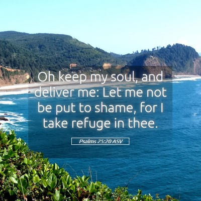 Picture 05 - Psalms 25:20 ASV - Oh keep my soul, and deliver me: Let me not be - Bible Verse Picture