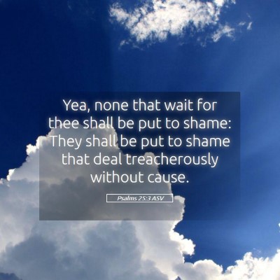 Picture 05 - Psalms 25:3 ASV - Yea, none that wait for thee shall be put to - Bible Verse Picture