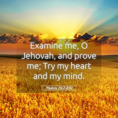 Picture 05 - Psalms 26:2 ASV - Examine me, O Jehovah, and prove me; Try my heart - Bible Verse Picture