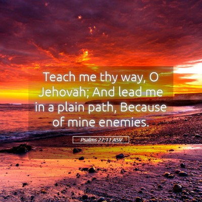 Picture 05 - Psalms 27:11 ASV - Teach me thy way, O Jehovah; And lead me in a - Bible Verse Picture