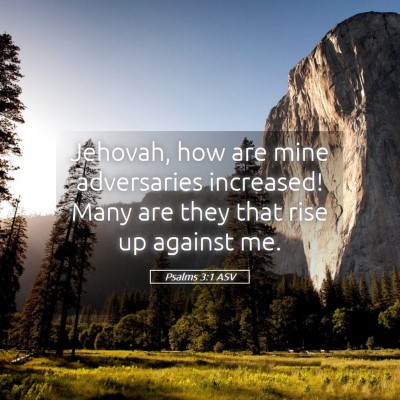 Picture 05 - Psalms 3:1 ASV - Jehovah, how are mine adversaries increased! Many - Bible Verse Picture