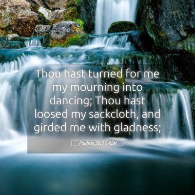 Picture 05 - Psalms 30:11 ASV - Thou hast turned for me my mourning into dancing; - Bible Verse Picture