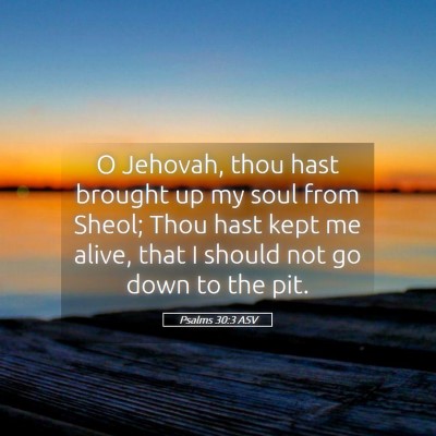 Picture 05 - Psalms 30:3 ASV - O Jehovah, thou hast brought up my soul from - Bible Verse Picture