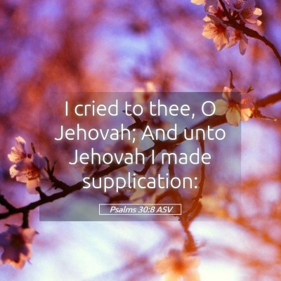 Picture 05 - Psalms 30:8 ASV - I cried to thee, O Jehovah; And unto Jehovah I - Bible Verse Picture
