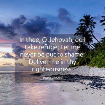 Picture 05 - Psalms 31:1 ASV - In thee, O Jehovah, do I take refuge; Let me - Bible Verse Picture