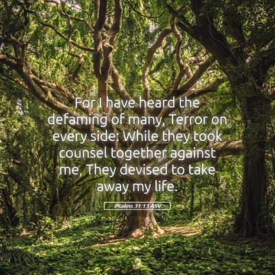 Picture 05 - Psalms 31:13 ASV - For I have heard the defaming of many, Terror on - Bible Verse Picture