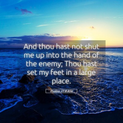 Picture 05 - Psalms 31:8 ASV - And thou hast not shut me up into the hand of the - Bible Verse Picture