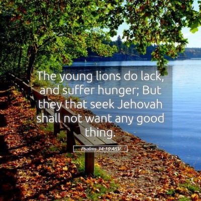 Picture 05 - Psalms 34:10 ASV - The young lions do lack, and suffer hunger; But - Bible Verse Picture