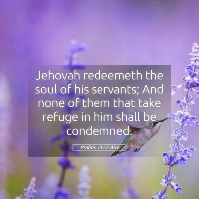 Picture 05 - Psalms 34:22 ASV - Jehovah redeemeth the soul of his servants; And - Bible Verse Picture