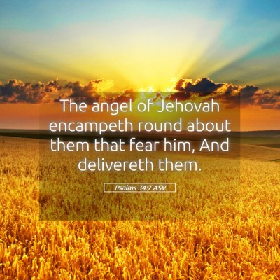 Picture 05 - Psalms 34:7 ASV - The angel of Jehovah encampeth round about them - Bible Verse Picture