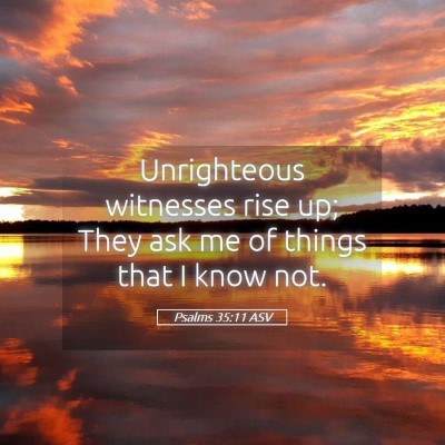 Picture 05 - Psalms 35:11 ASV - Unrighteous witnesses rise up; They ask me of - Bible Verse Picture