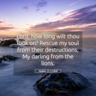 Picture 05 - Psalms 35:17 ASV - Lord, how long wilt thou look on? Rescue my soul - Bible Verse Picture