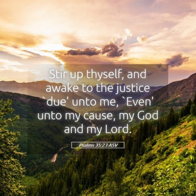Picture 05 - Psalms 35:23 ASV - Stir up thyself, and awake to the justice `due' - Bible Verse Picture