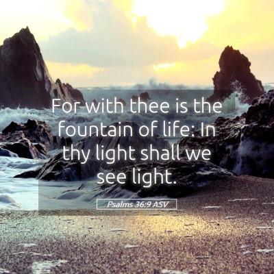 Picture 05 - Psalms 36:9 ASV - For with thee is the fountain of life: In thy - Bible Verse Picture
