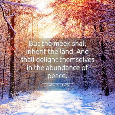 Picture 05 - Psalms 37:11 ASV - But the meek shall inherit the land, And shall - Bible Verse Picture