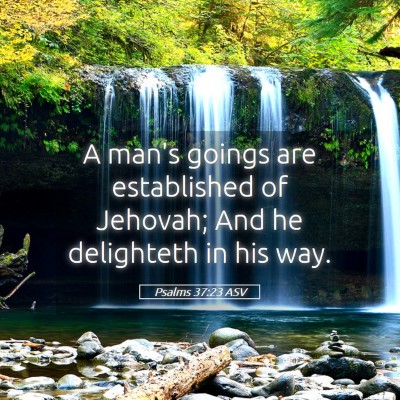 Picture 05 - Psalms 37:23 ASV - A man's goings are established of Jehovah; And he - Bible Verse Picture