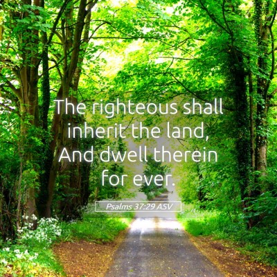 Picture 05 - Psalms 37:29 ASV - The righteous shall inherit the land, And dwell - Bible Verse Picture